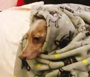 miyaの画像