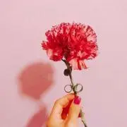 ゆう