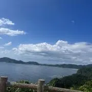 チコの画像