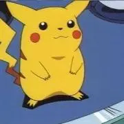 ぽんきちの画像