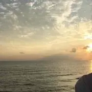 ホイップ　発送早目で対応していますの画像