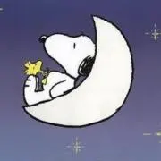 ariの画像