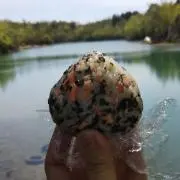 はらっぱ