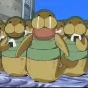伊織の画像