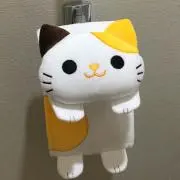 Takeshi Idomotoの画像