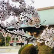 きはらさんの画像