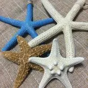 断捨離中⭐︎の画像