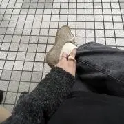 もちゃんの画像