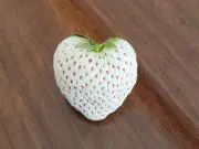 ヒロ