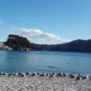 しょうさき