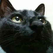エリック