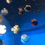 くぅママん◼︎プロフ必読m(__)m◼︎