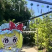 はるさめの画像