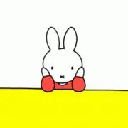実の画像