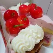 sallyの画像