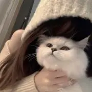 mちゃん【次回発送8/22】の画像