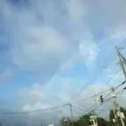 アリスの画像