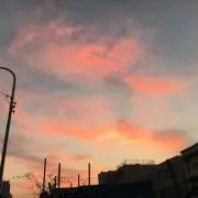 みぃの画像