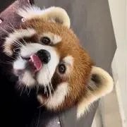 tikashiwaの画像