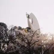 ttachiの画像