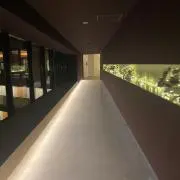 ylsの画像