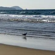 nの画像
