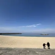 すばちん