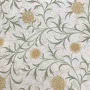 pinoの画像