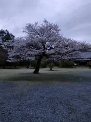 TCRの画像