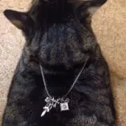 あずきあんこの画像