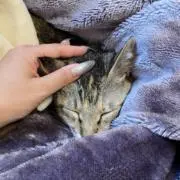natsu