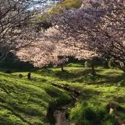 晴
