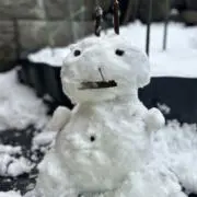 mi