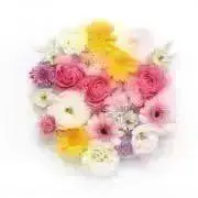 ほのぼの❣️フォロー割セール実施中❣️