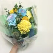Pの画像
