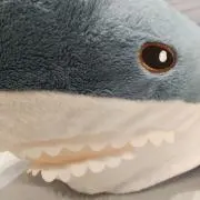 さめたろう