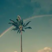 Ekaの画像
