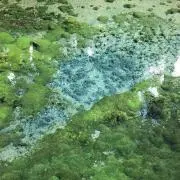 リーモス'sショップの画像