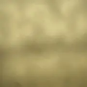 ねこの画像