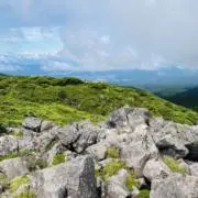 わちゃお　即購入OKの画像