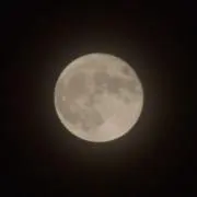 チ。の画像