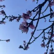ゆきみの画像