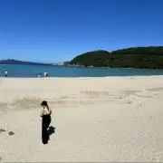 あーゆの画像