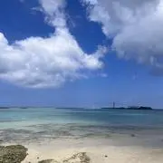 浅野の画像