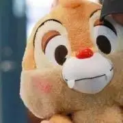 #Cookiejarの画像