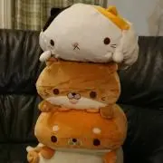 くまみ