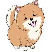 つみきの画像