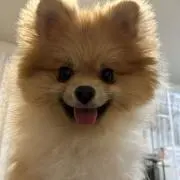 KOME✳︎お時間あればプロフ読んでね♡の画像