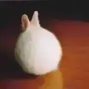 コメント必須です返信が来てから購入下さいの画像