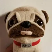 まっきーの画像